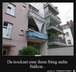 funpot0000154985_x400_y000.webp