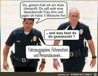 funpot0000156546_x400_y000.webp