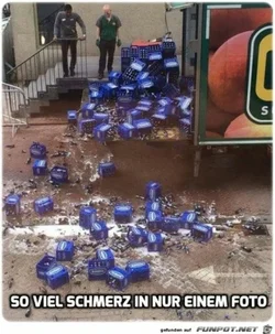 funpot0000128706_x400_y000.webp