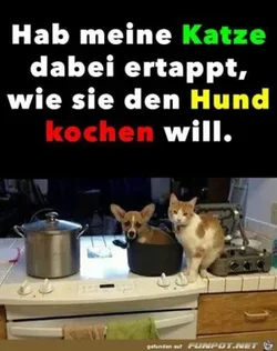 funpot0000159013_x300_y000.webp