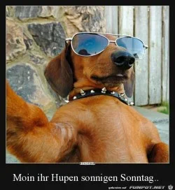 funpot0000161174_x250_y272.webp