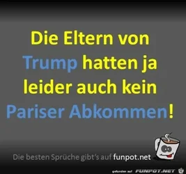 funpot0000162653_x400_y000.webp