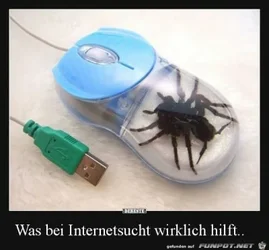funpot0000162768_x400_y000.webp