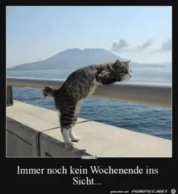 funpot0000164646_x300_y000.webp