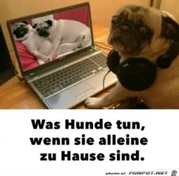 funpot0000144093_x300_y000.webp