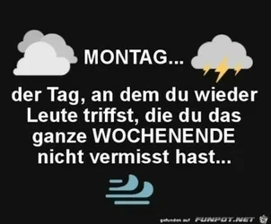funpot0000178417_x400_y000.webp