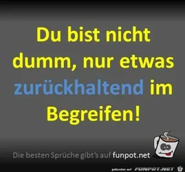funpot0000182919_x400_y000.webp
