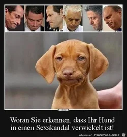 funpot0000179513_x300_y000.webp