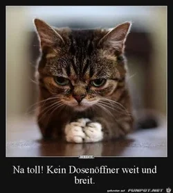 funpot0000185349_x300_y000.webp funpot0000185349_x300_y000.webp