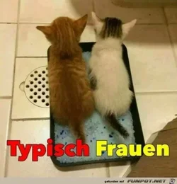 funpot0000094664_x400_y000.webp funpot0000094664_x400_y000.webp
