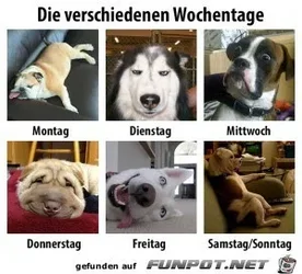 funpot0000208303_x300_y000.webp funpot0000208303_x300_y000.webp