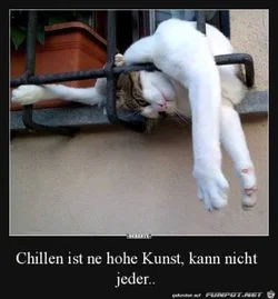 funpot0000213121_x300_y000.webp funpot0000213121_x300_y000.webp