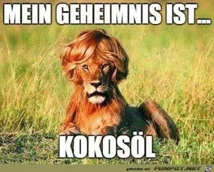 funpot0000214295_x400_y000.webp funpot0000214295_x400_y000.webp