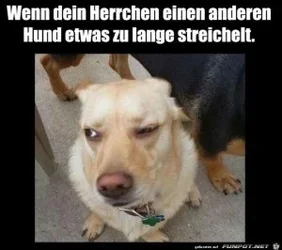 funpot0000210704_x300_y000.webp funpot0000210704_x300_y000.webp