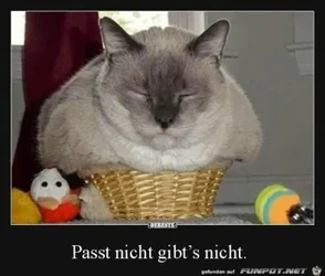 funpot0000217853_x400_y000.webp funpot0000217853_x400_y000.webp