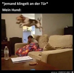 funpot0000213181_x300_y000.webp