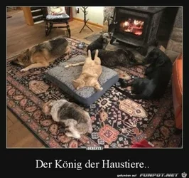 funpot0000205645_x400_y000.webp