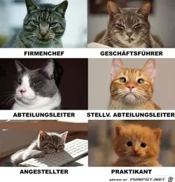 funpot0000210757_x300_y000.webp