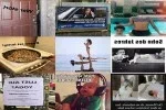 funpot0000237247_x150_y100.webp
