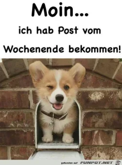 funpot0000229835_x250_y338.webp