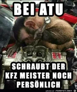 funpot0000233383_x400_y000.webp funpot0000233383_x400_y000.webp
