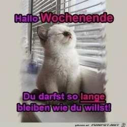 funpot0000243606_x250_y250.webp