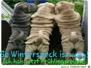 funpot0000246910_x300_y000.webp