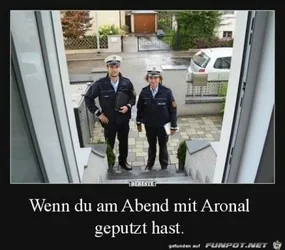 funpot0000247610_x400_y000.webp