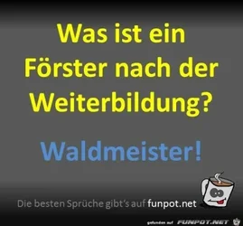 funpot0000249578_x400_y000.webp