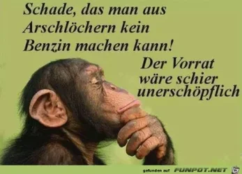 funpot0000258121_x400_y000.webp