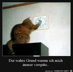 funpot0000258237_x400_y000.webp funpot0000258237_x400_y000.webp