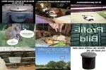 funpot0000265862_x150_y100.webp funpot0000265862_x150_y100.webp