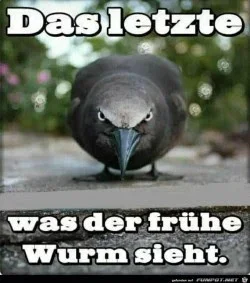 funpot0000265418_x250_y283.webp funpot0000265418_x250_y283.webp