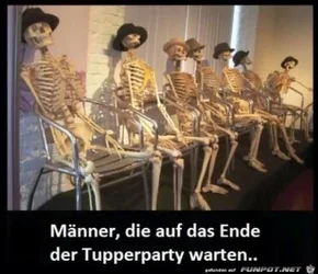 funpot0000266565_x400_y000.webp