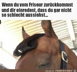 funpot0000270497_x400_y000.webp