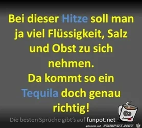 funpot0000275821_x400_y000.webp