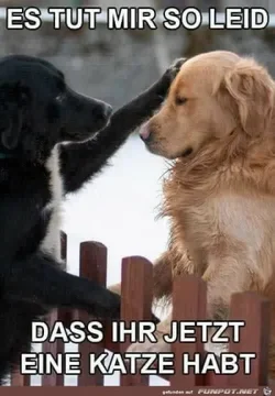funpot0000278260_x400_y000.webp funpot0000278260_x400_y000.webp