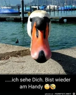 funpot0000278517_x400_y000.webp funpot0000278517_x400_y000.webp