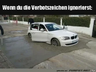 funpot0000282096_x400_y000.webp funpot0000282096_x400_y000.webp