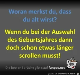 funpot0000285167_x400_y000.webp