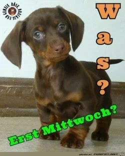 funpot0000216099_x250_y312.webp