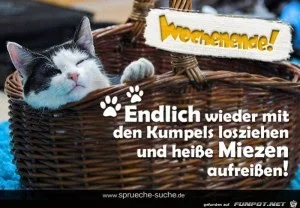 funpot0000291705_x300_y000.webp
