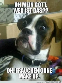 funpot0000290051_x300_y000.webp