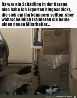 funpot0000286770_x400_y000.webp