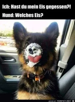 funpot0000293743_x300_y000.webp