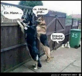 funpot0000298062_x400_y000.webp