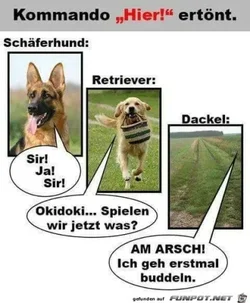 funpot0000210713_x400_y000.webp funpot0000210713_x400_y000.webp