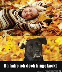 funpot0000309774_x300_y000.webp funpot0000309774_x300_y000.webp