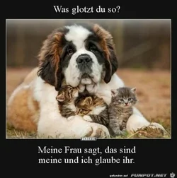 funpot0000324177_x400_y000.webp funpot0000324177_x400_y000.webp