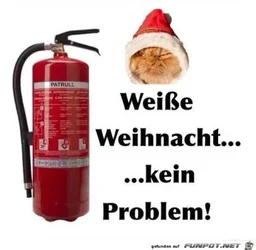 funpot0000198755_x400_y000.webp